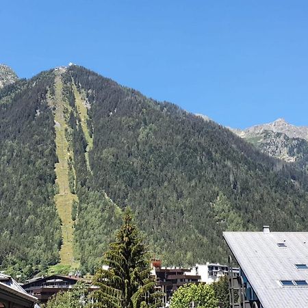 Appartement JOLI 32m avec BALCON-VUE sur le MONT-BLANC à Chamonix Extérieur photo